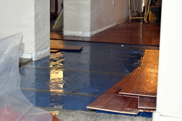 Professional Basement Flooding technician working in Fredericksburg, IA